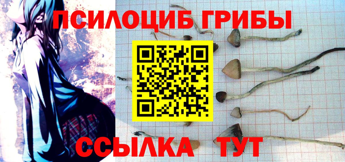 Новокузнецк  Псилоцибиновые грибы GOLDEN TEACHER  Вход с VPN 